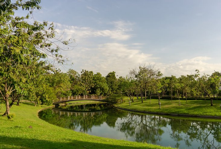 Difference Between Pond and Lake