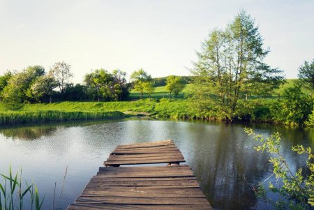 How to Tell if a Pond or Lake is Healthy