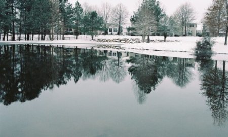 Do Algae And Pond Weeds Die In The Winter?