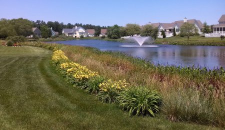 Why Your Pond Shoreline May Need More Attention as The Climate Changes